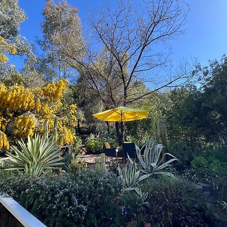 Villa La Reforma - Newly Designed 4Br House & Pool In Los Angeles By Topanga Dış mekan fotoğraf